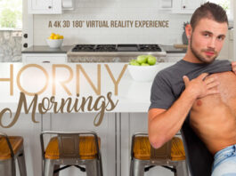 VRBGay - Horny Mornings - Jeffrey Lloyd VR Porn