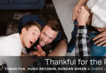 VRG - Thankful For The Pie - Tomas Fuk & Hugo Antonin & Duncan Sheen & James Lewis VR Porn